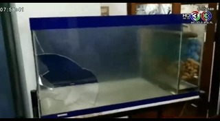 คนลื่นล้ม