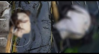 ฆ่าหั่นศพสาวพม่า