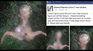 สิ่งมีชีวิตนอกโลก