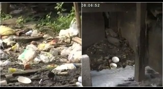 ตลาดคลองเตย