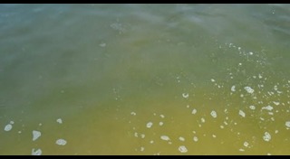 ขี้ปลาวาฬ