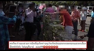 ปล่อยนก