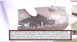 เฉาก๊วย