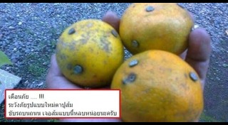 ข่าวเตือนภัยสังคม