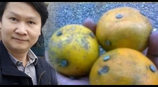 ข่าวเตือนภัยสังคม