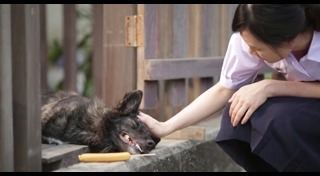 โฆษณาซึ้ง