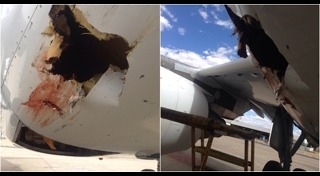 เครื่องบินชนนก