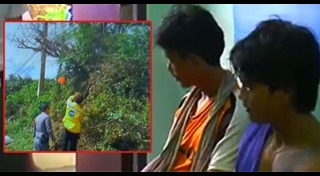 ตัดสายเคเบิลโทรศัพท์