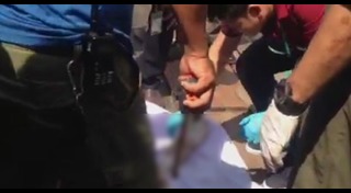 ฆ่าหั่นศพชาวสเปน