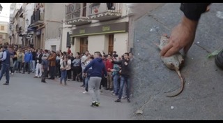 เทศกาลแปลกๆ