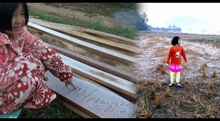 ภูหินร่องกล้า