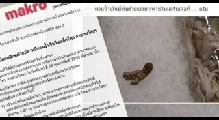 กุ้งยัดแท่งตะกั่ว