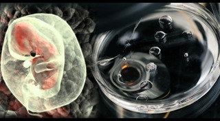 ตั้งครรภ์แฝด