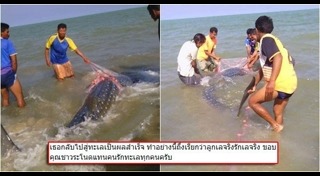 ดร.ธรณ์ ธำรงนาวาสวัสดิ์