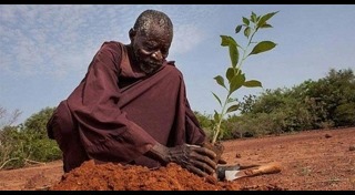 อนุรักษ์ธรรมชาติ