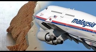 มาเลเซียแอร์ไลน์ส