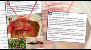 ไข่ปลิง