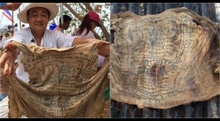 ล้างป่าช้า