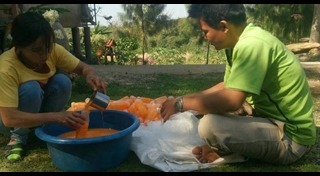 น้ำส้มปลอม