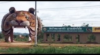 วัดป่าหลวงตาบัว