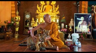 วัดป่าหลวงตาบัว