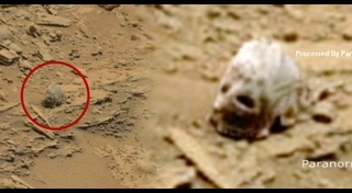 สิ่งมีชีวิตนอกโลก