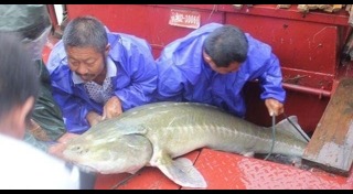 สัตว์ดึกดำบรรพ์