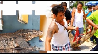 ร้านอาหารพิษณุโลก