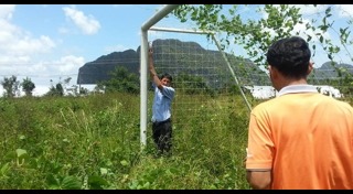 สนามกีฬา