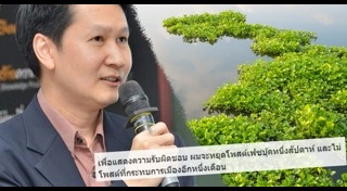 ผักตบชวา