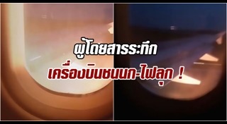 เครื่องบินชนนก