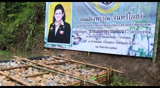 ฝายชะลอน้ำ