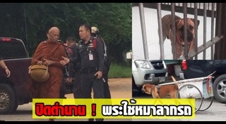 พระหนูที สุตธัมโม