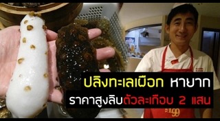 ปลิงทะเล