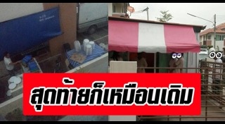 แมลงบุกบ้าน