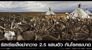 แอนแทรกซ์