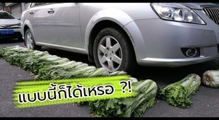 ผักกาดขาว