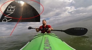 ฉลามยักษ์