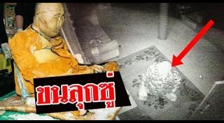 องค์ดาไลลามะ