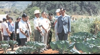 ดอยอ่างขาง