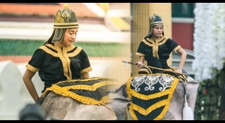 หมอพลอย ควาญช้าง