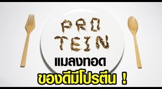 แมลงทอด