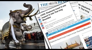 ช้างเผือก