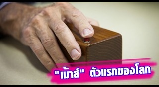 อุปกรณ์อิเล็กทรอนิกส์