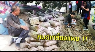 มันฝรั่ง