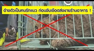 โรงฆ่าสัตว์