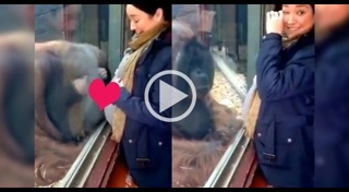 ท่านอนคนท้อง