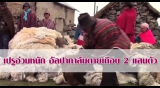 เปรู