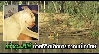 หมาช่วยเด็ก