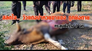 ห้วยขาแข้ง